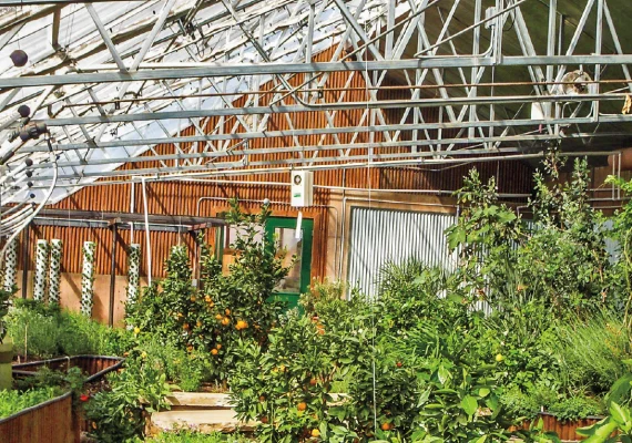 Greenhouses bongshai engineering